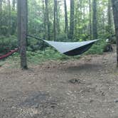 Review photo of Raven Cliff Falls by John W., August 8, 2017