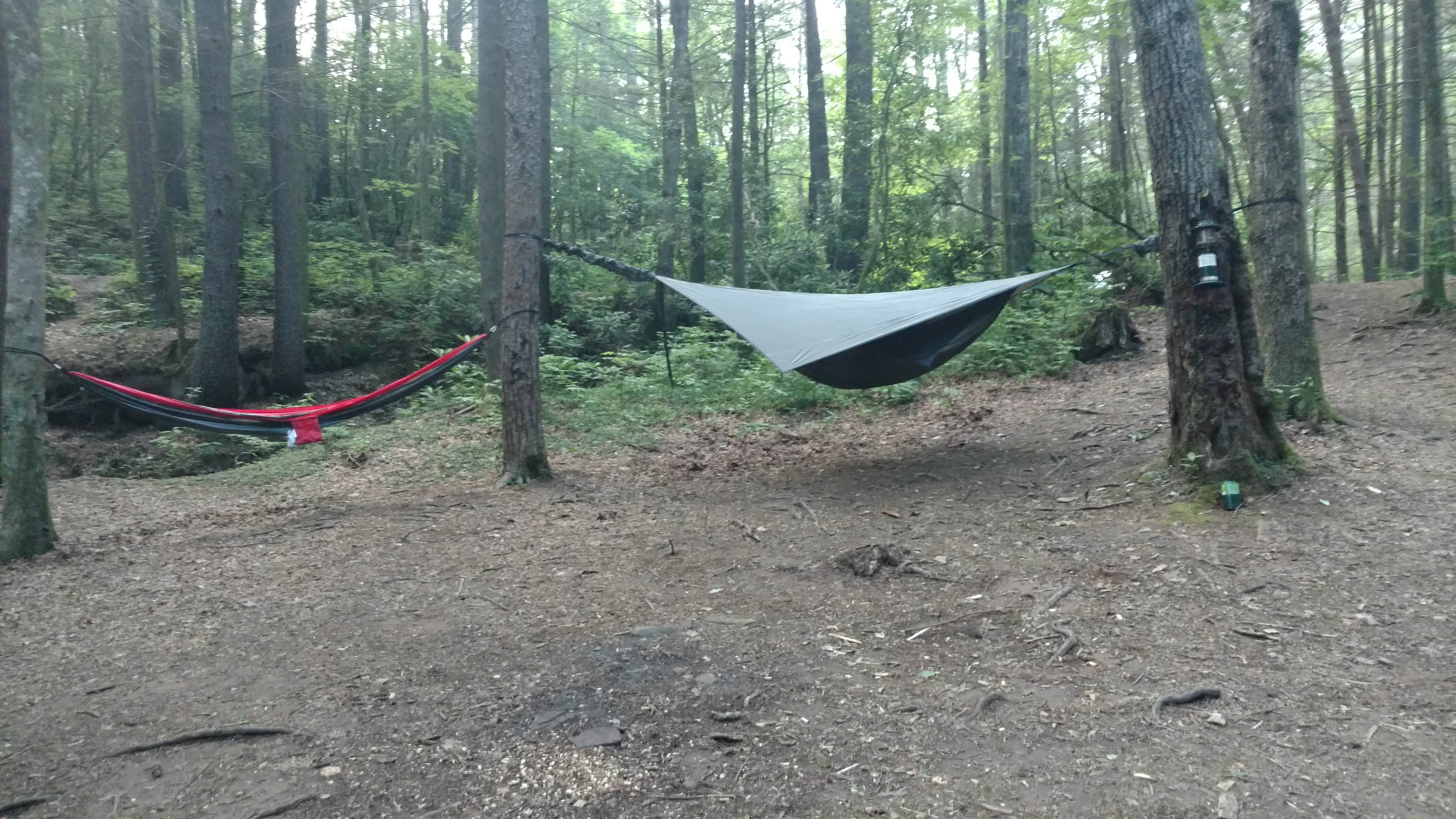 Camper submitted image from Raven Cliff Falls - 3