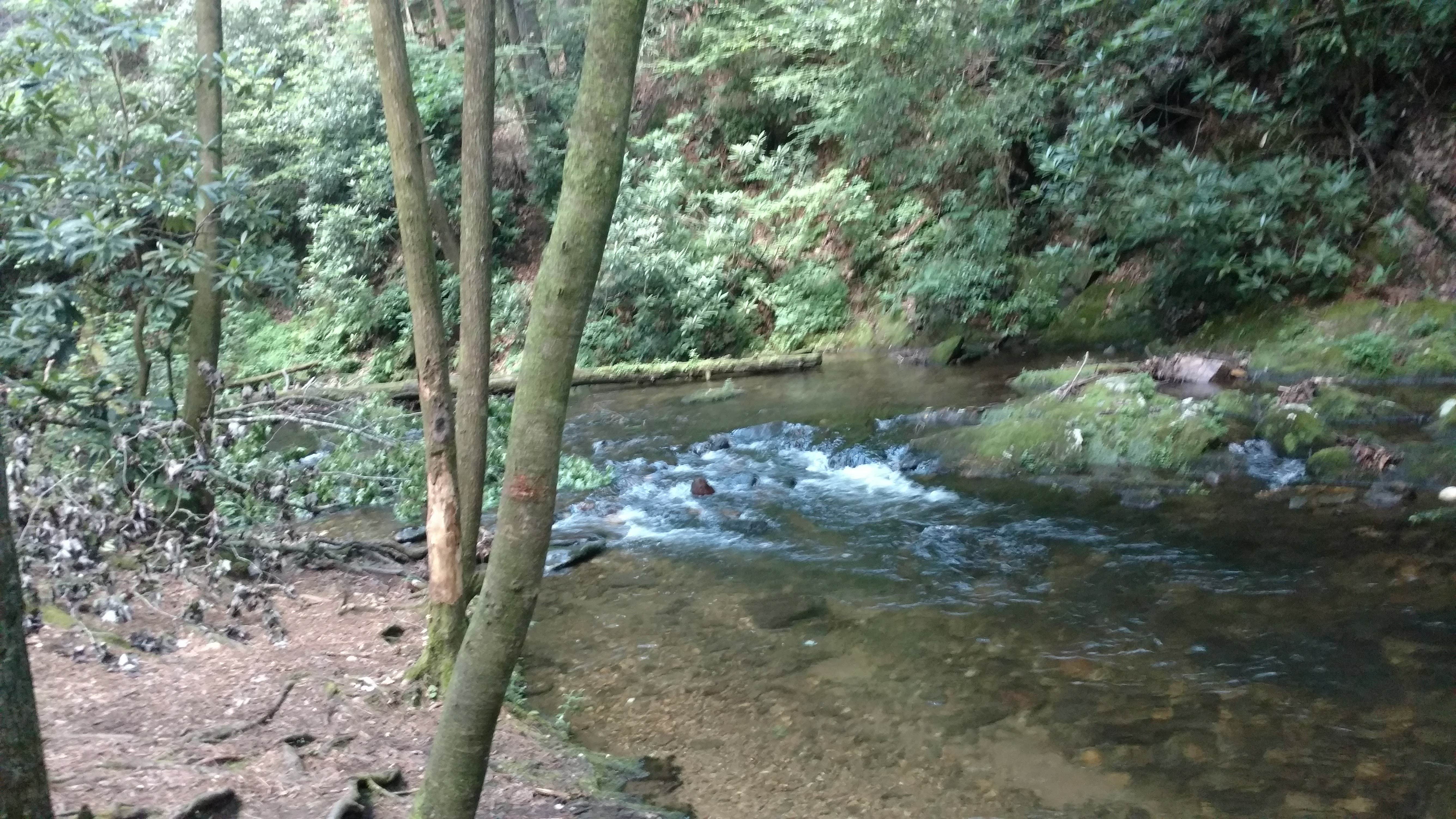 Raven cliff falls camping on sale