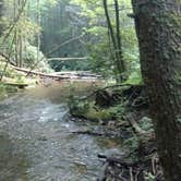 Review photo of Raven Cliff Falls by John W., August 8, 2017
