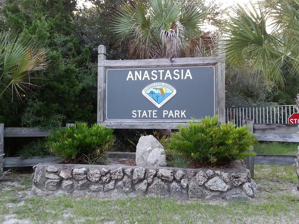 Camper submitted image from Anastasia State Park Campground - 2