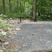 Review photo of Cowans Gap State Park Campground by Sarah N., August 8, 2017