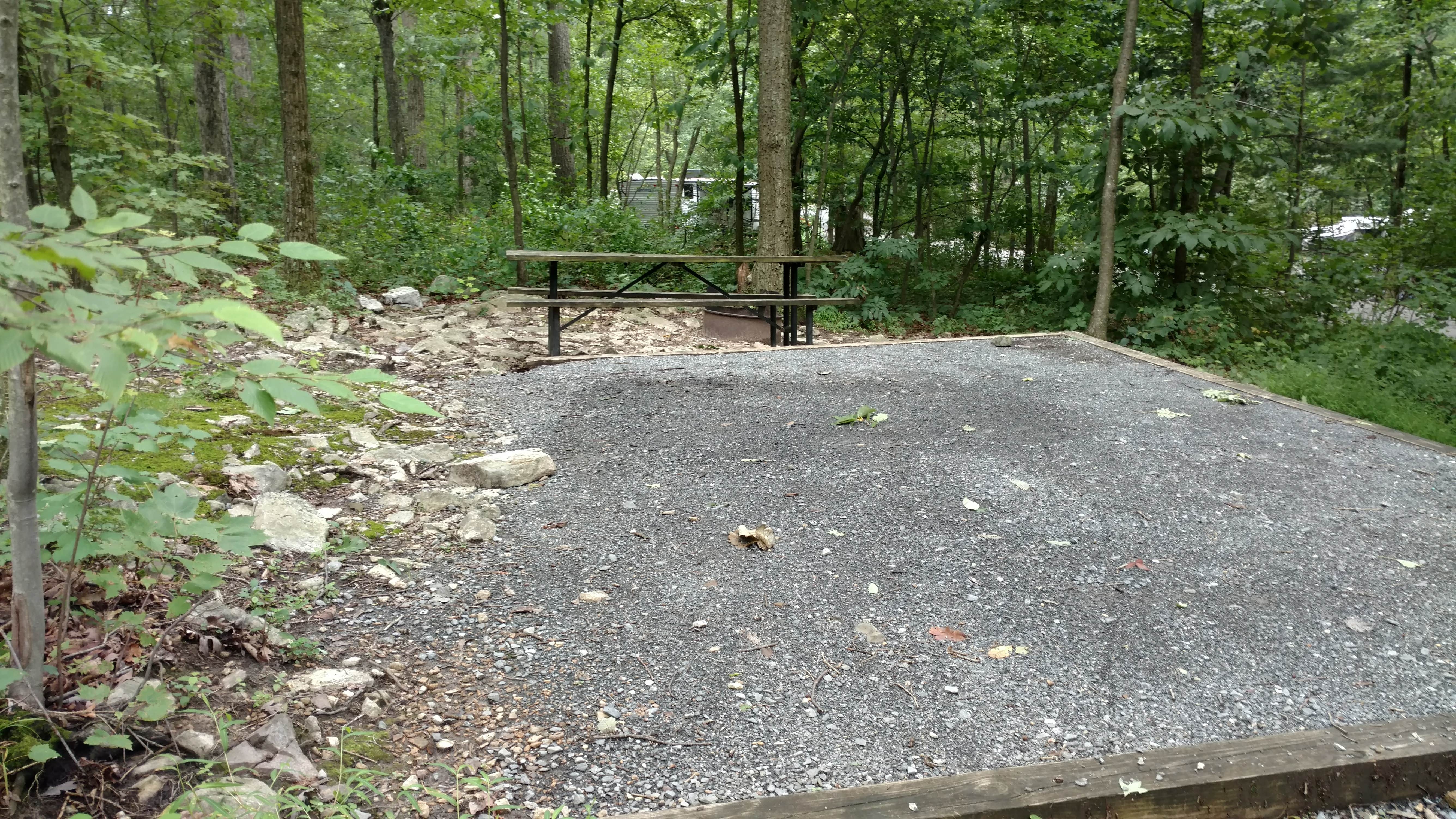 Camper submitted image from Cowans Gap State Park Campground - 2