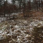 Review photo of Hawn State Park Campground by Chad K., August 8, 2017