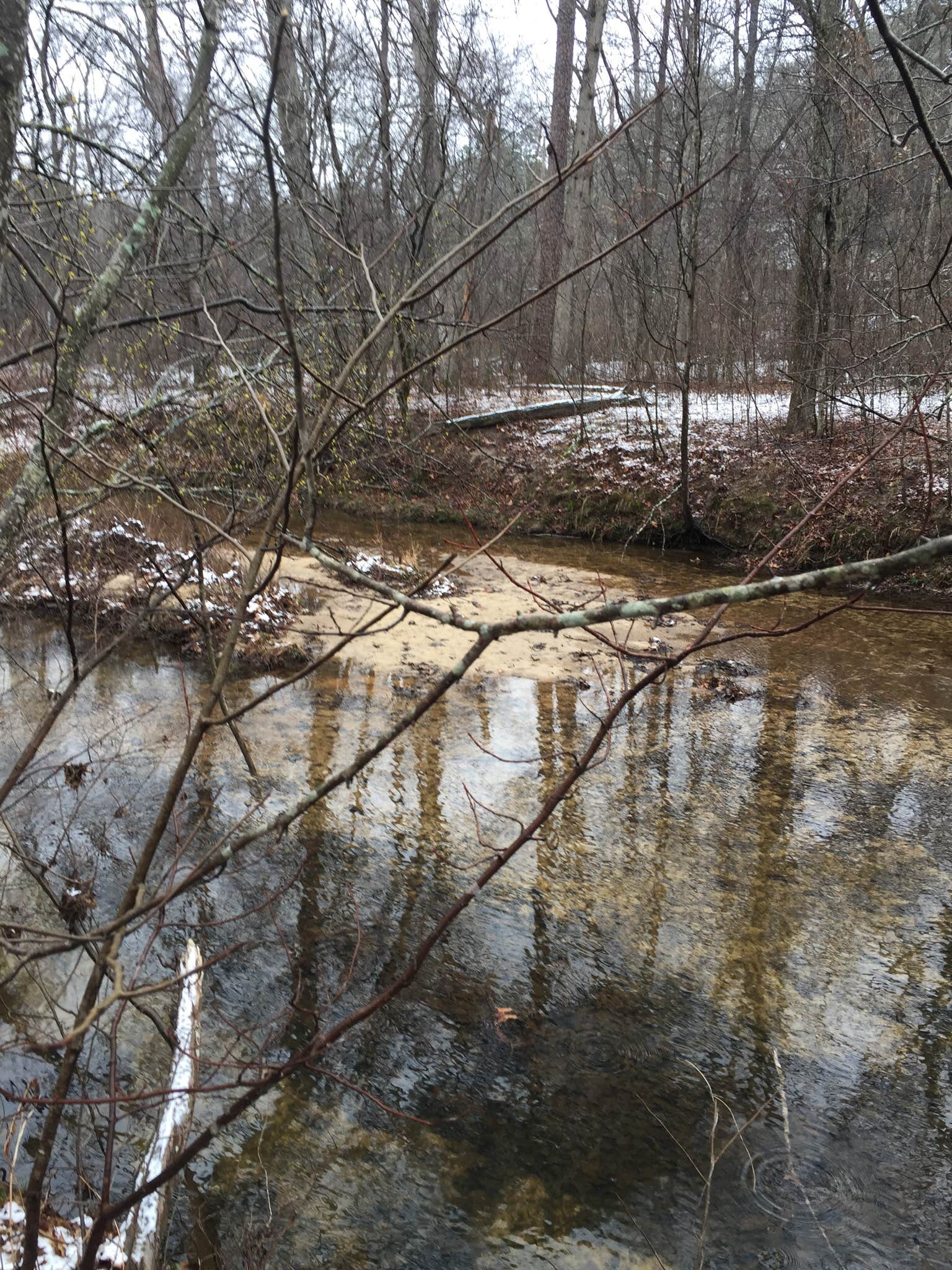 Camper-submitted photo at Hawn State Park Campground in Missouri
