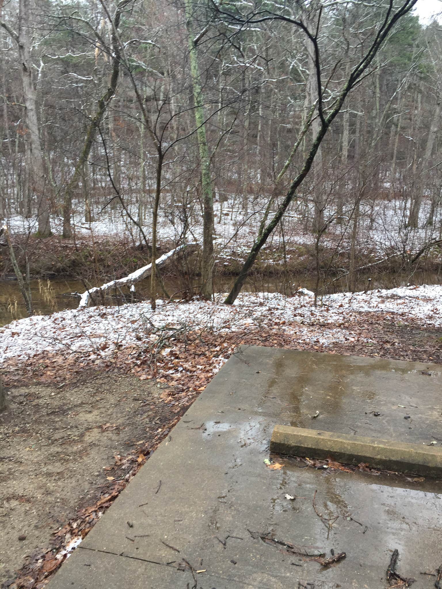 Camper submitted image from Hawn State Park Campground - 1
