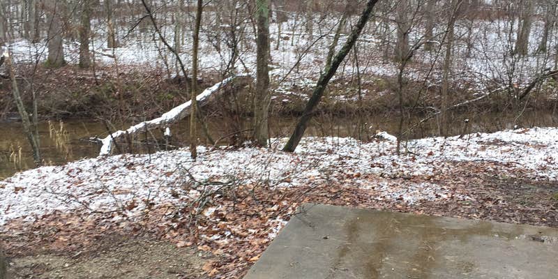 Camper submitted image from Hawn State Park Campground