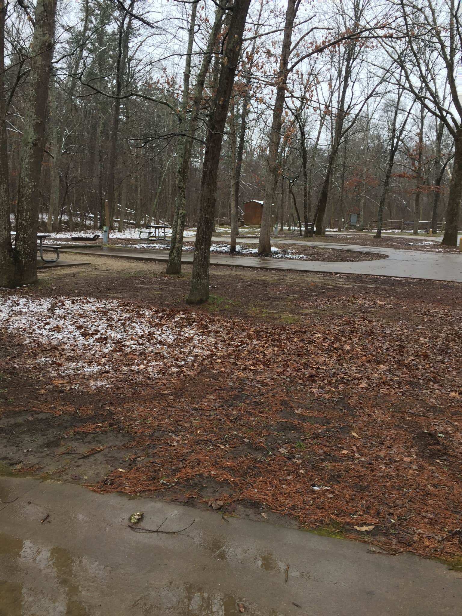 Camper submitted image from Hawn State Park Campground - 3