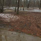 Review photo of Hawn State Park Campground by Chad K., August 8, 2017