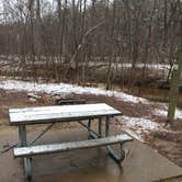 Review photo of Hawn State Park Campground by Chad K., August 8, 2017