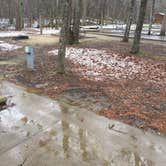 Review photo of Hawn State Park Campground by Chad K., August 8, 2017