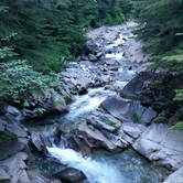 Review photo of Denny Creek Campground by Ryan W., August 8, 2017
