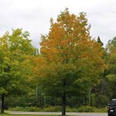 Review photo of Rivermouth Modern Campground — Tahquamenon Falls State Park by Lora H., September 17, 2019