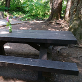 Review photo of Denny Creek Campground - Temporarily Closed by Ryan W., August 8, 2017