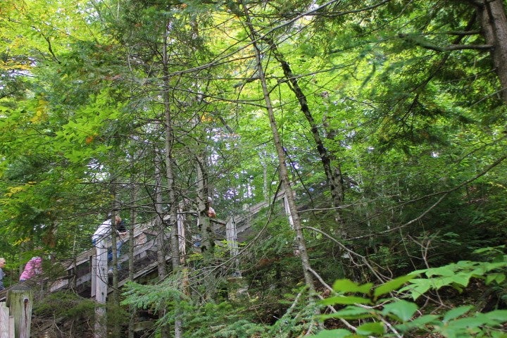 Stairs down to the brink of the upper falls