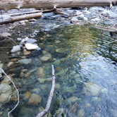 Review photo of Denny Creek Campground by Ryan W., August 8, 2017