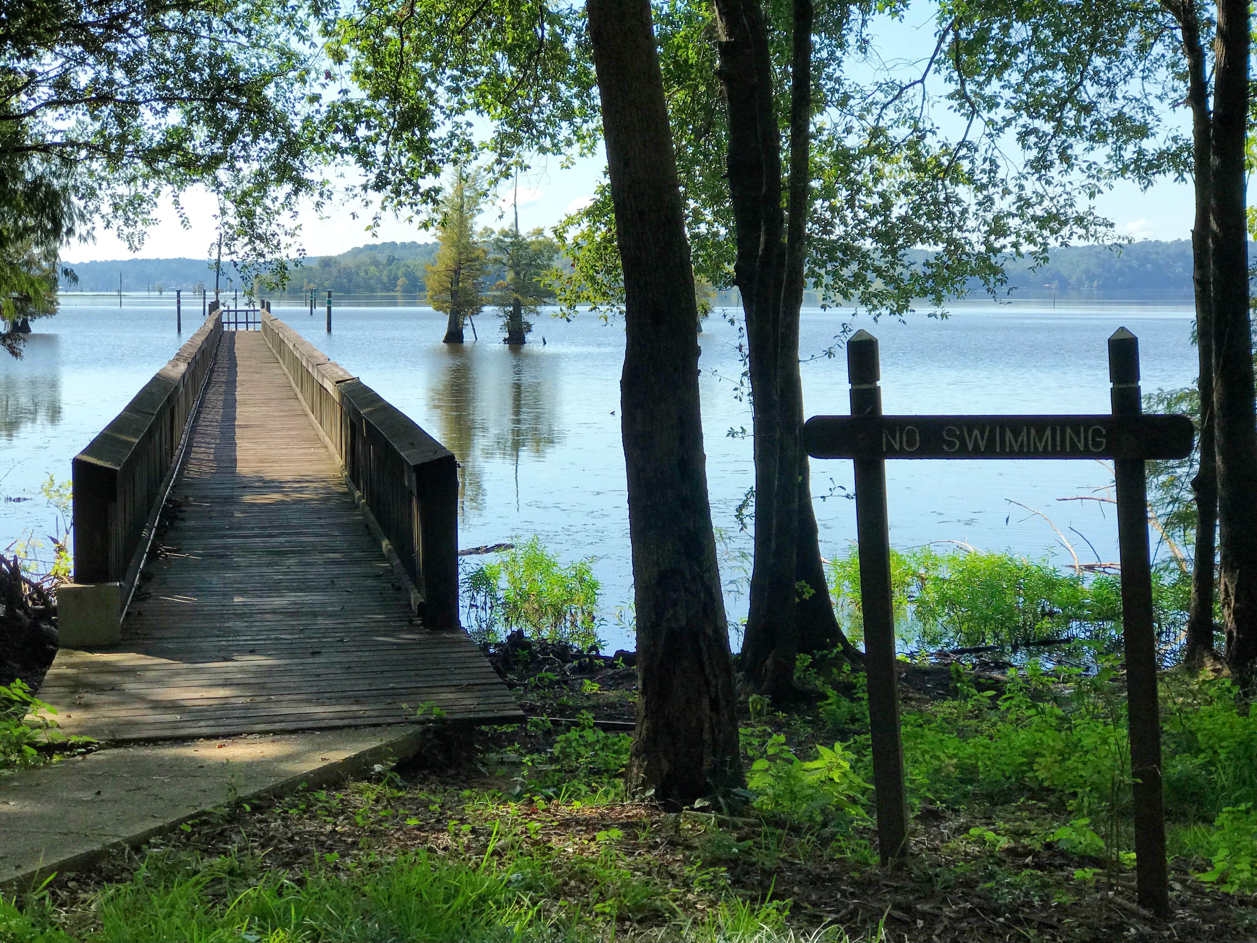 Camper submitted image from Lake D'Arbonne State Park — New Lake D'arbonne State Park - 2