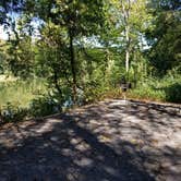 Review photo of Andy Guest/Shenandoah River State Park Campground by Chris F., September 17, 2019