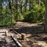 Review photo of Andy Guest/Shenandoah River State Park Campground by Chris F., September 17, 2019