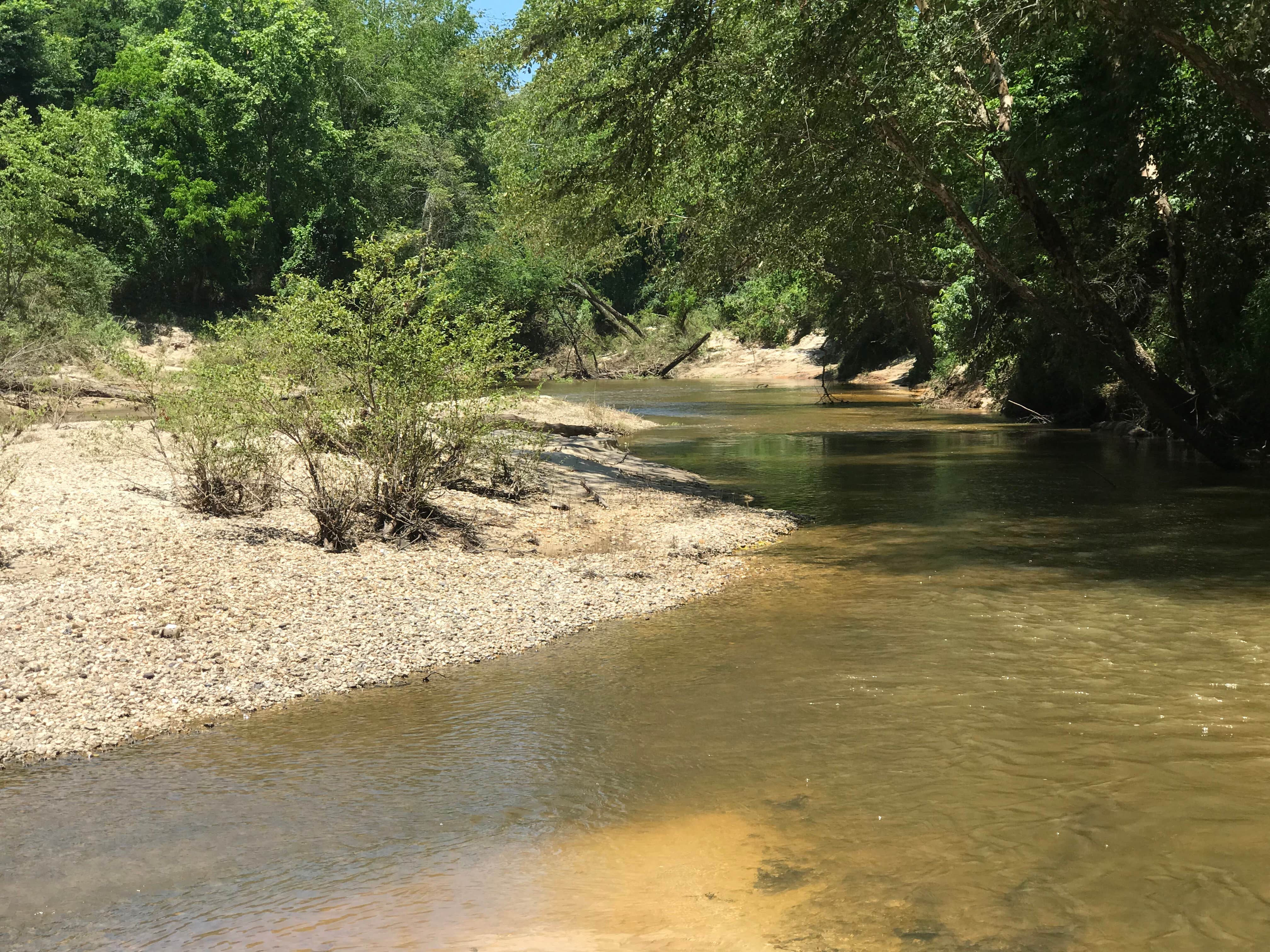 Camper-submitted photo at DLo Water Park near Bienville National Forest