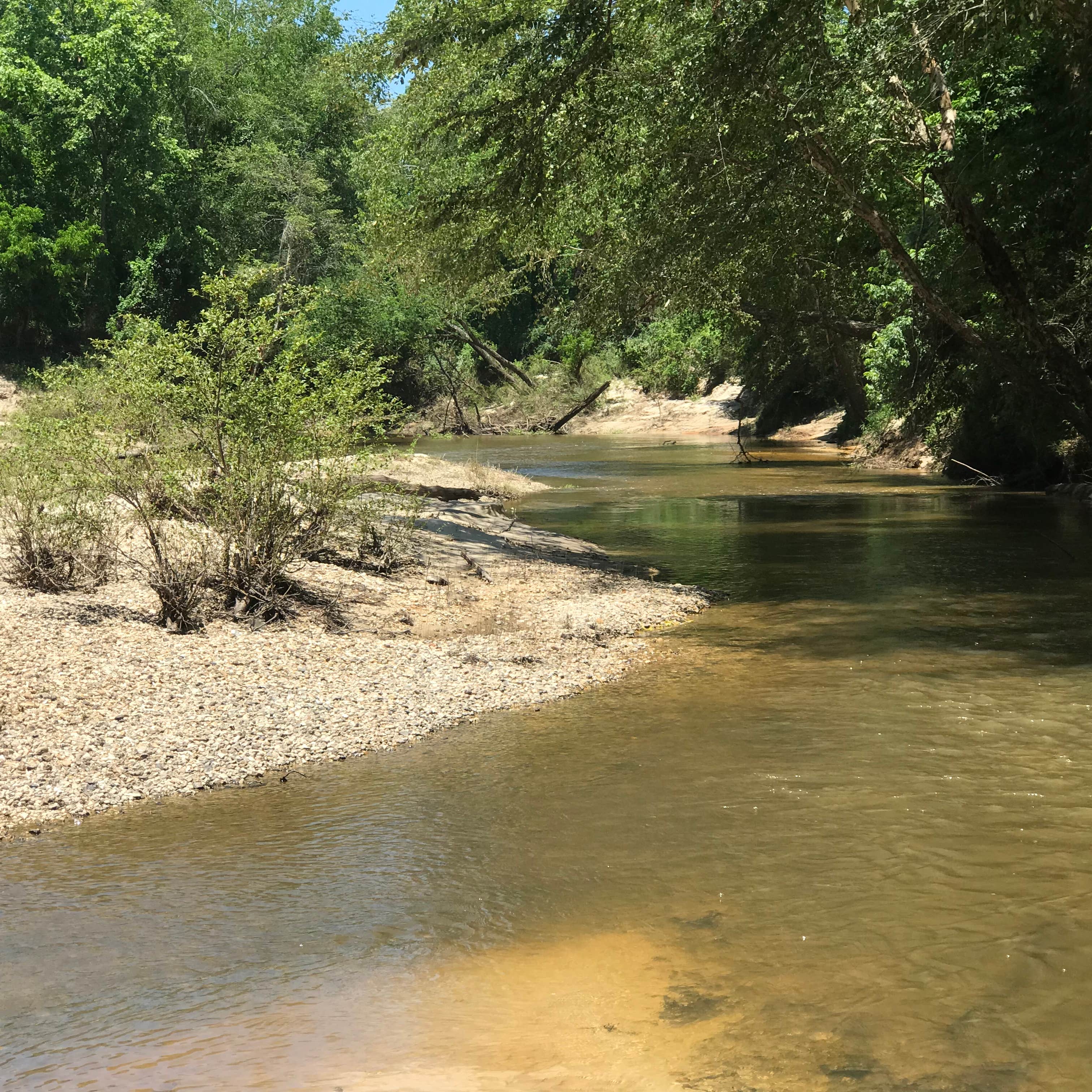 DLo Water Park Camping The Dyrt