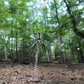 Review photo of Lake Claiborne State Park Campground by Zack M., September 17, 2019