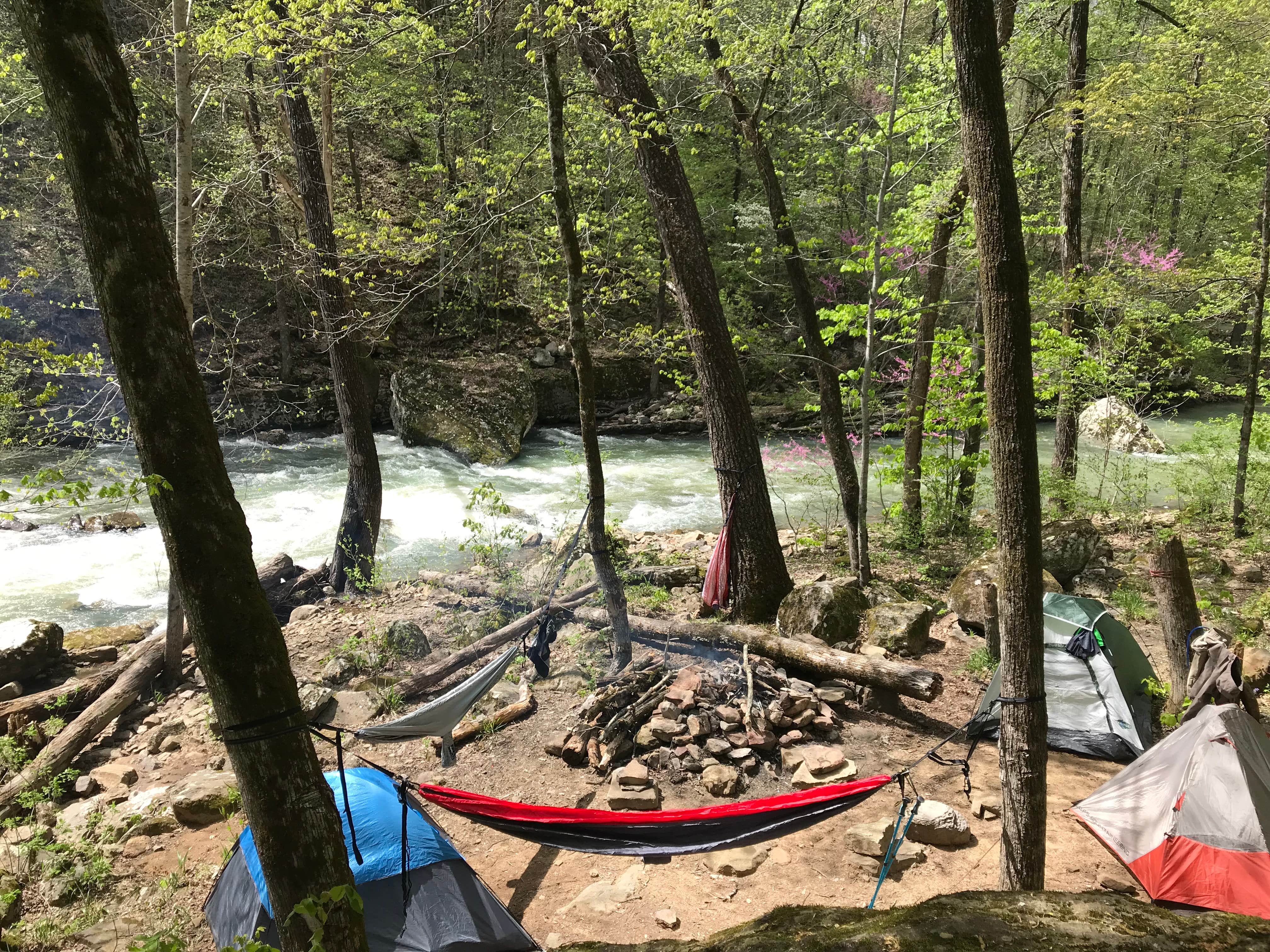 Zack M.'s photo at Richland Creek Recreation Area near Dennard, AR