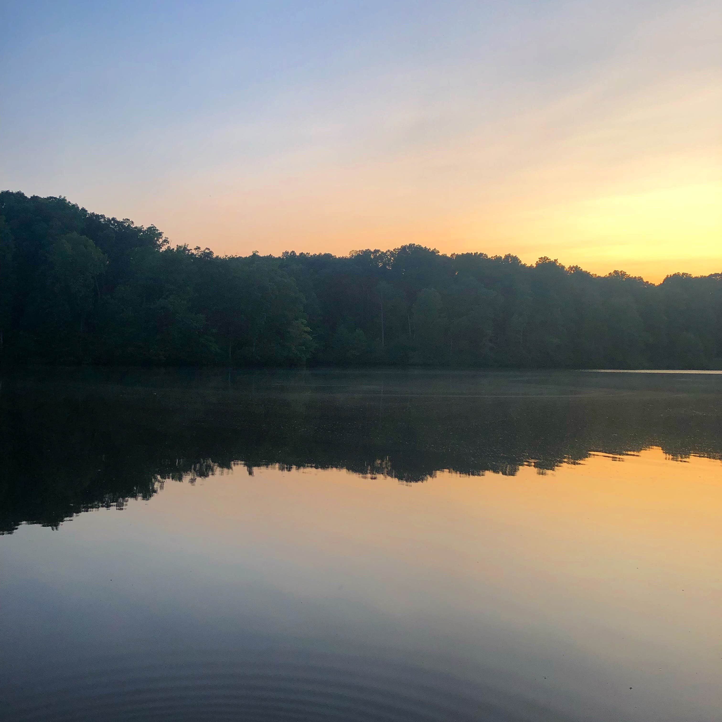 Camper-submitted photo at Bear Creek Lake State Park Campground near Wingina, VA