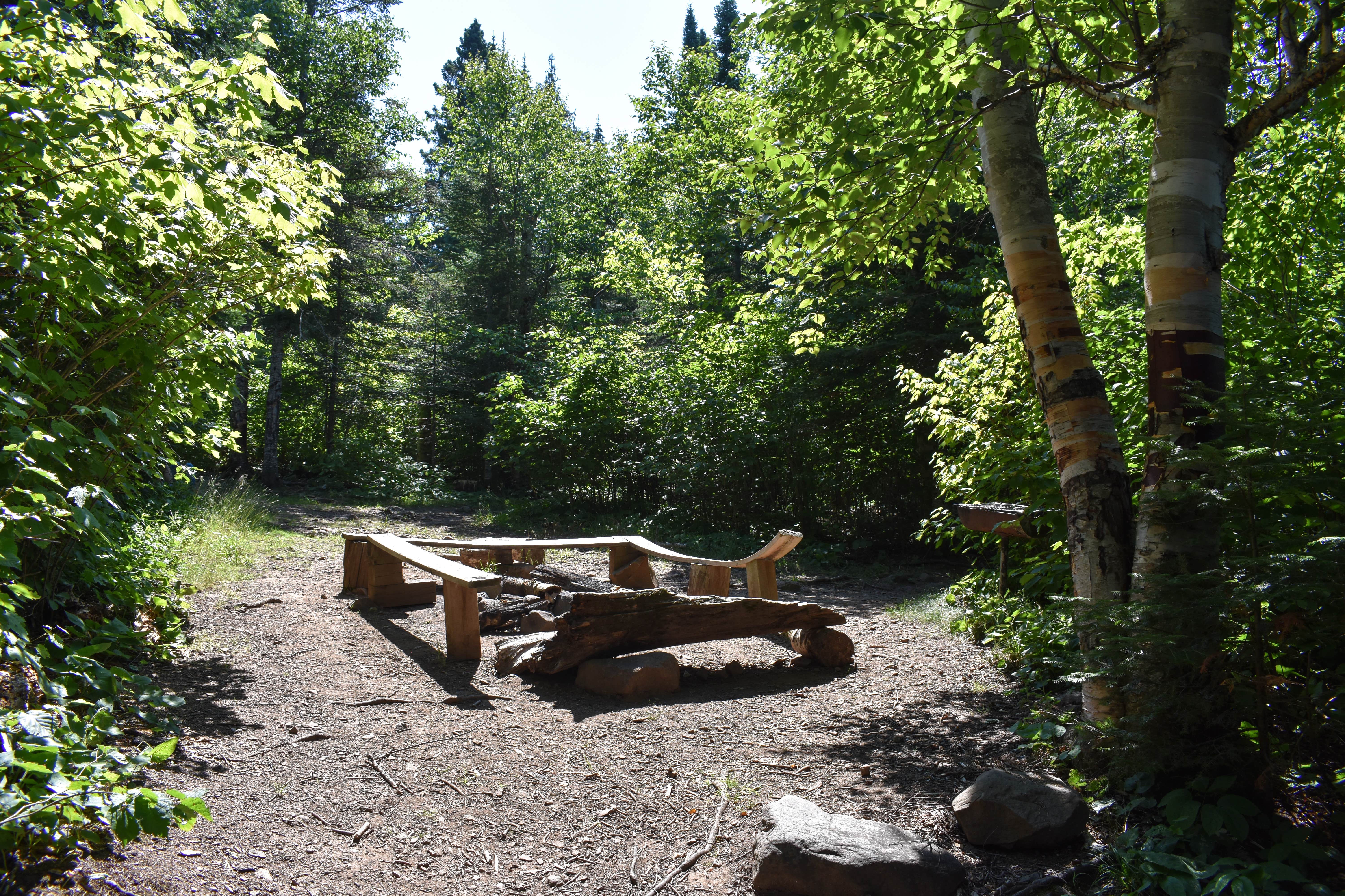 Camper submitted image from South Bally Creek Pond Camp - 2