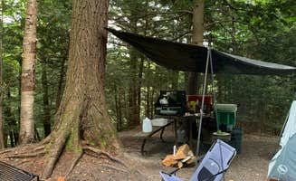 Ali T.'s photo of tent camping at Underhill State Park Campground near Perkinsville, VT