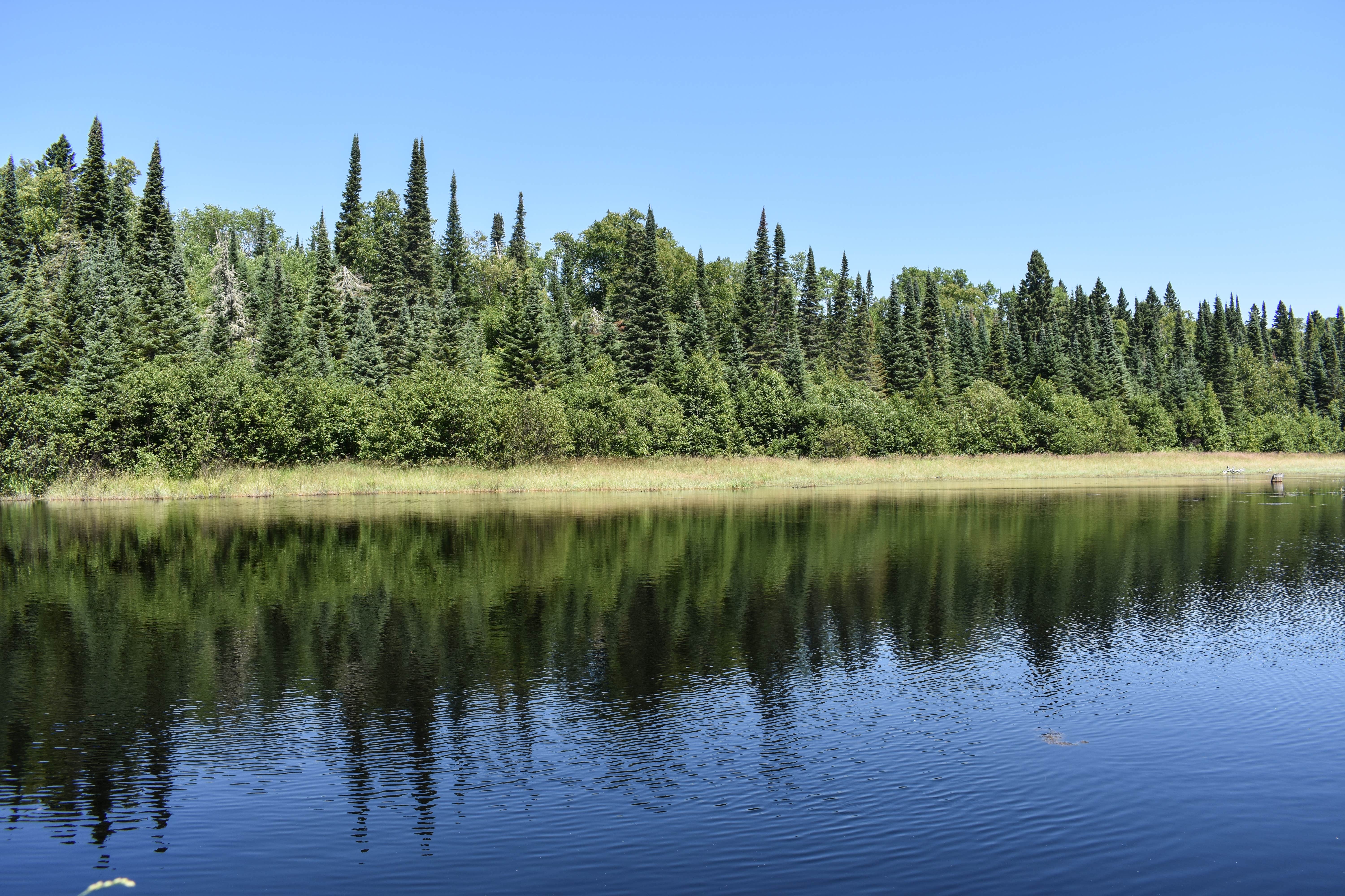 Camper submitted image from South Bally Creek Pond Camp - 3