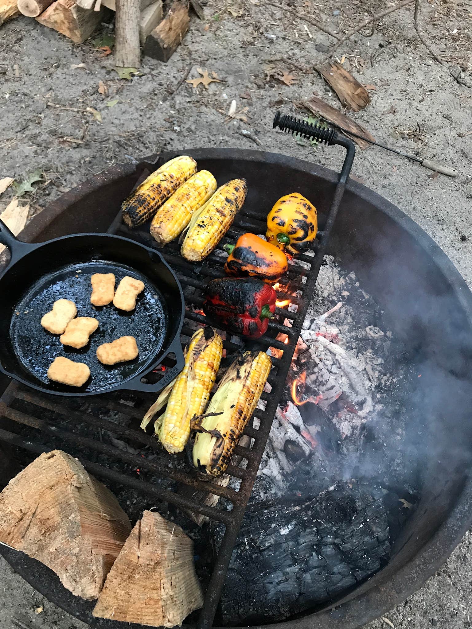 Camper-submitted photo at Sears Bellows County Park near Haddam, CT