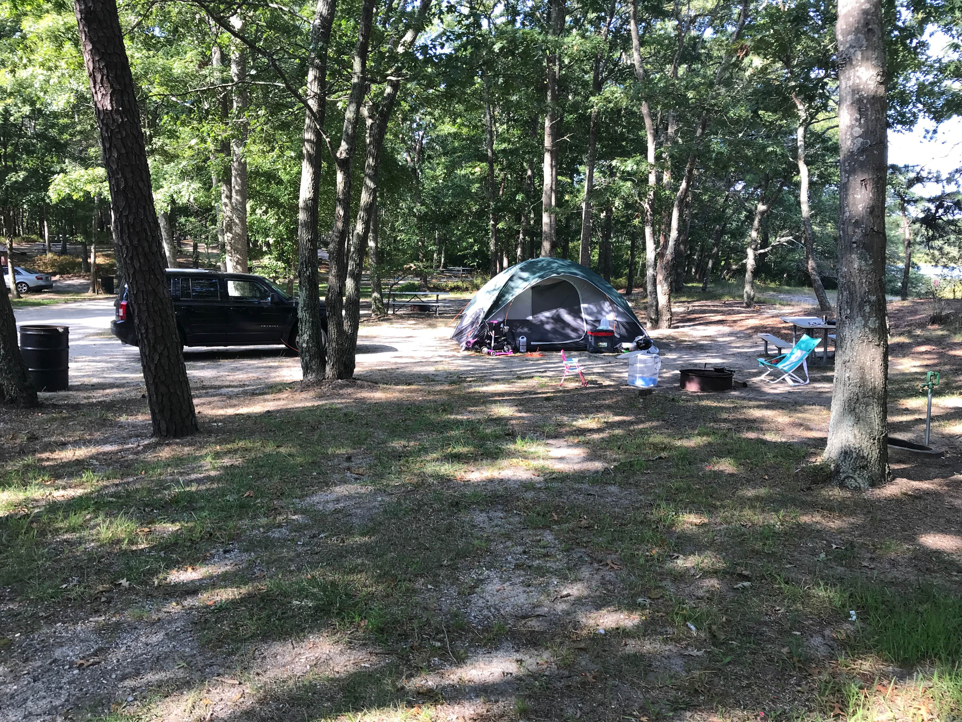 Camper submitted image from Sears Bellows County Park - 3