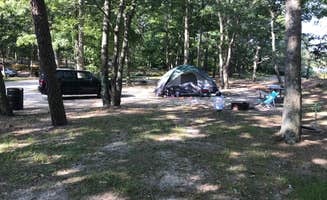 Gino D.'s photo at Sears Bellows County Park near Bohemia, NY