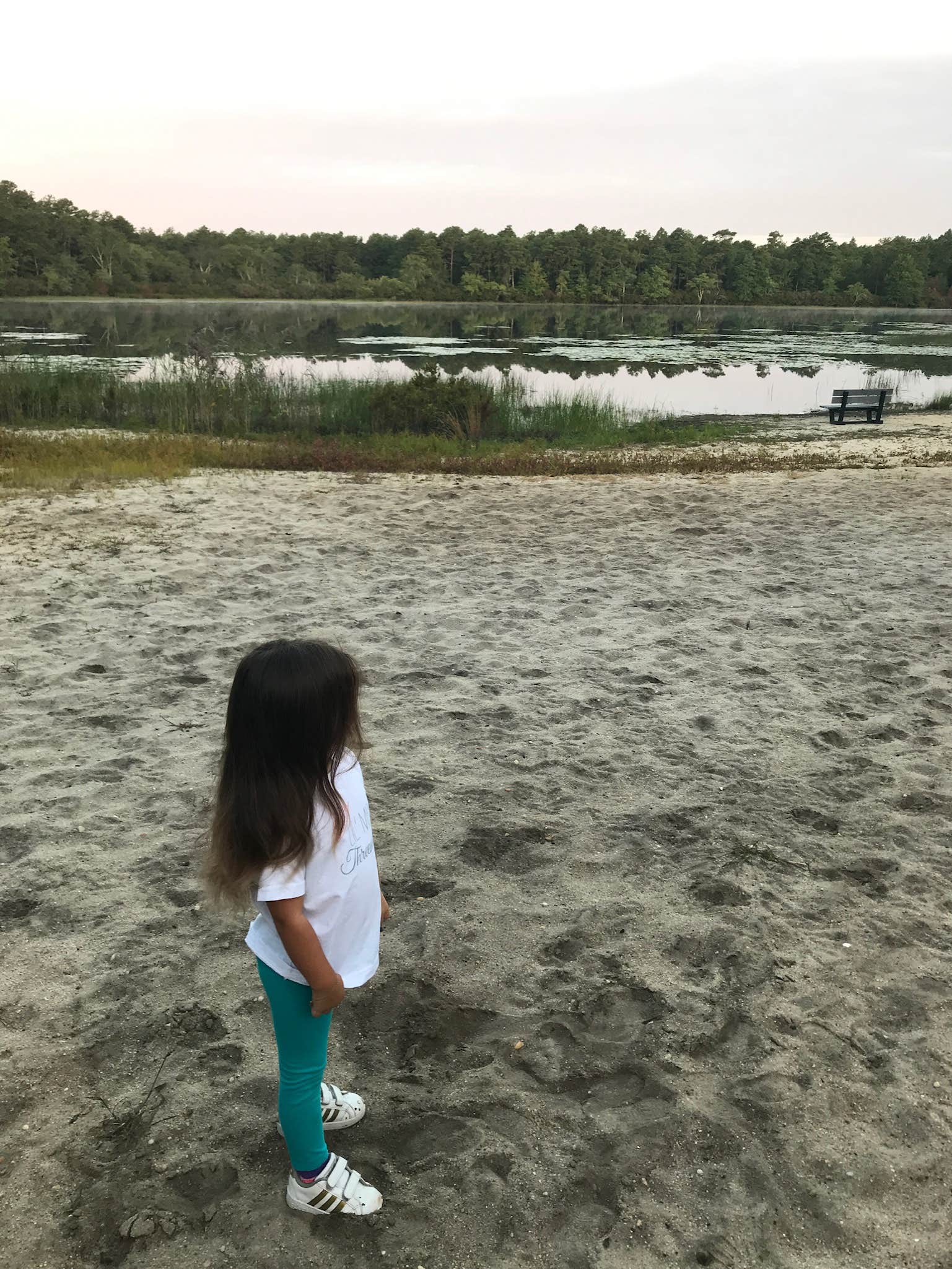 Camper-submitted photo at Sears Bellows County Park near Haddam, CT