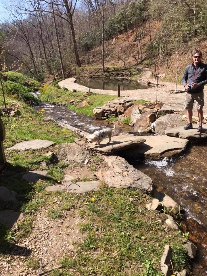 Camper-submitted photo at Moonshine Creek Campground near Waynesville, NC