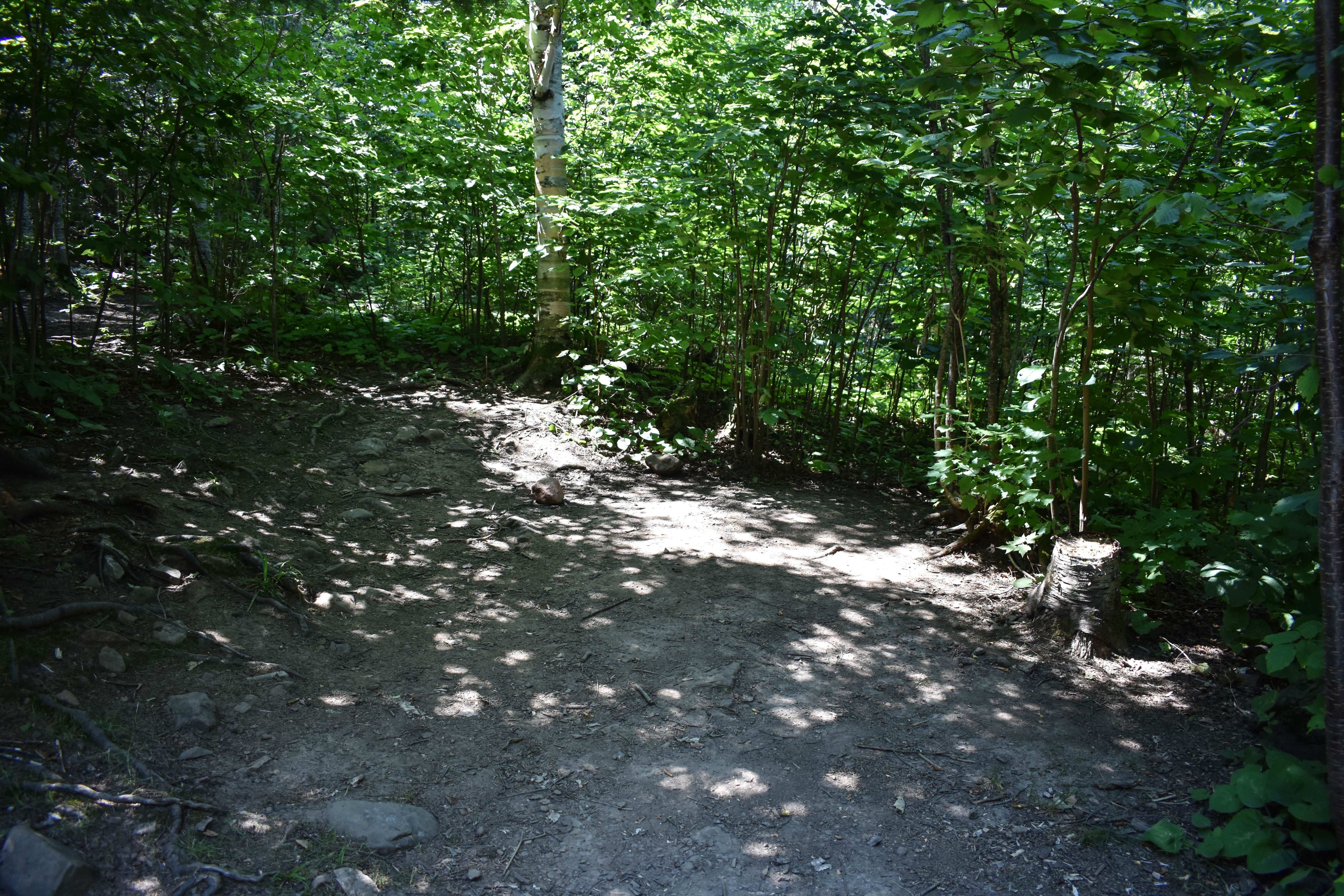 Camper submitted image from South Bally Creek Pond Camp - 5