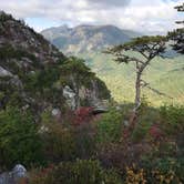 Review photo of Table Rock Campsites (Linville Gorge Wilderness) by Ashley M., September 17, 2019