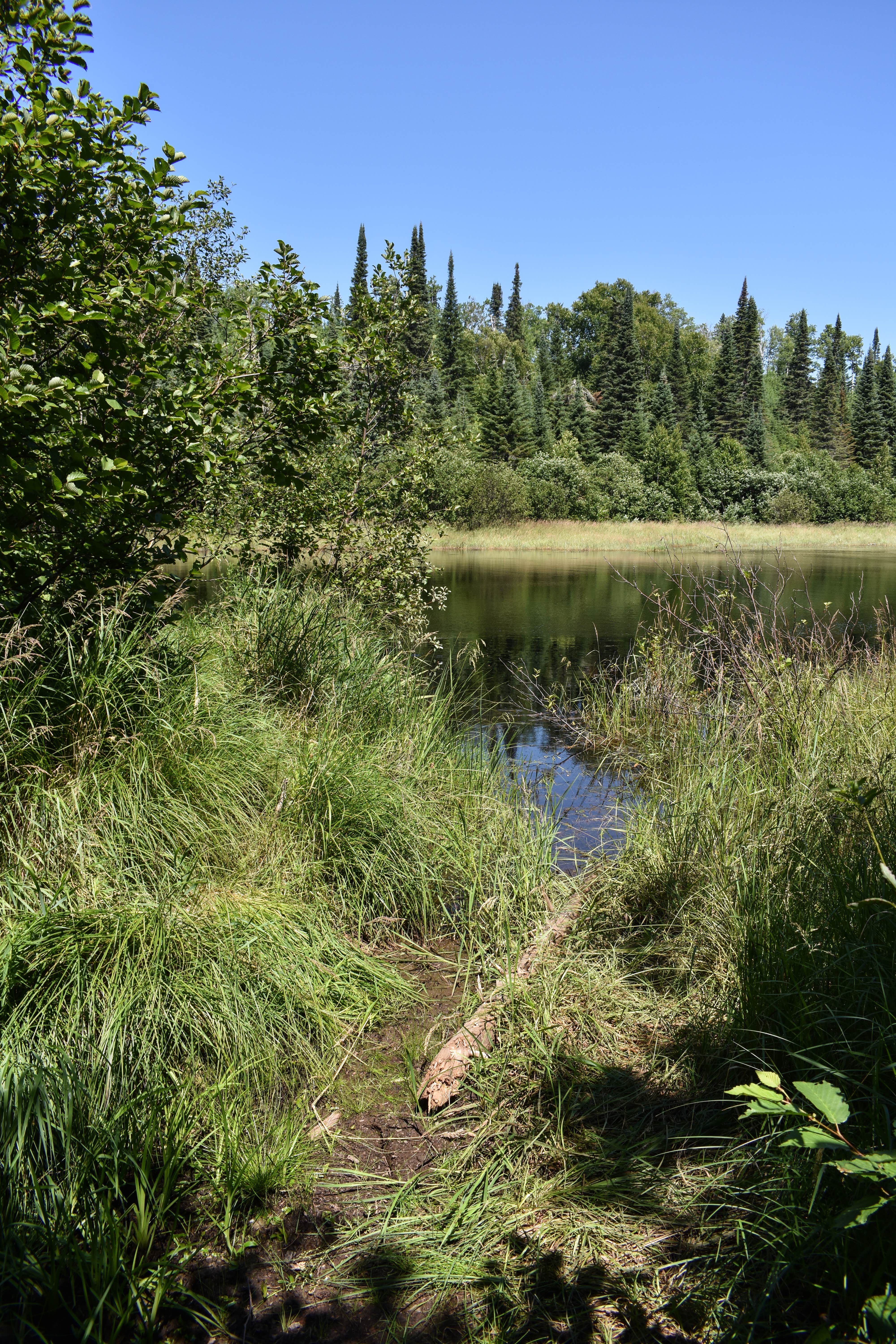 Camper submitted image from South Bally Creek Pond Camp - 2