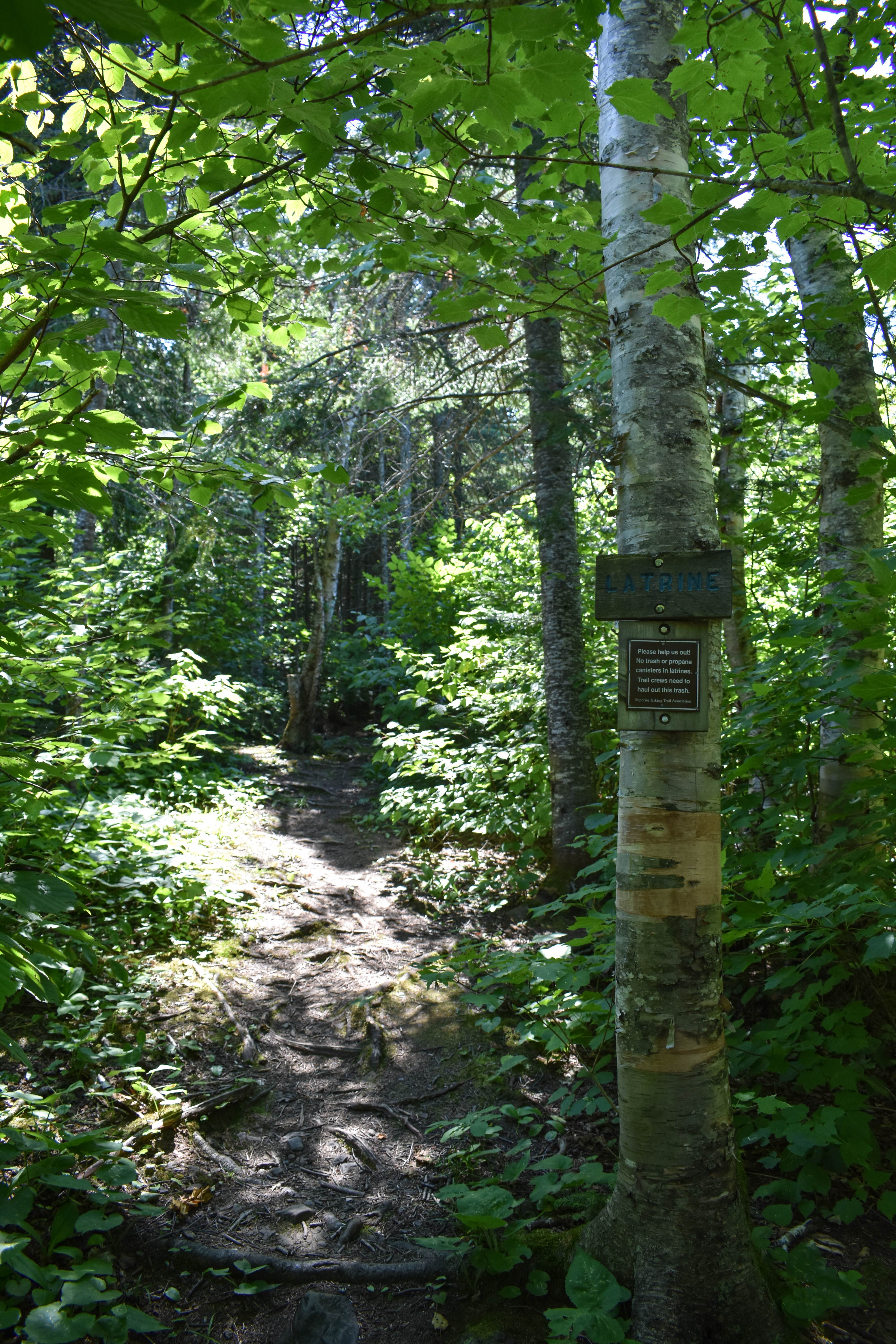 Camping near Trout Creek Camp: South Bally Creek Pond Camp, Grand Marais, Minnesota