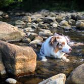 Review photo of Glade Creek Campground — New River Gorge National Park and Preserve by Zayne W., September 18, 2019