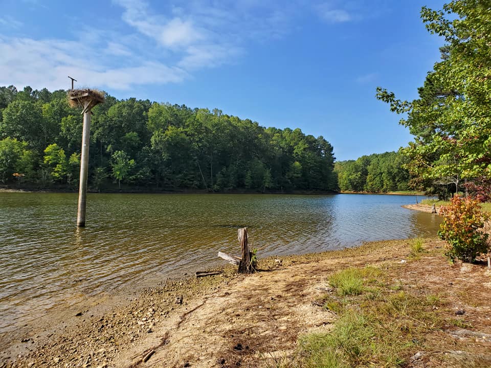Camper submitted image from Shinleaf — Falls Lake State Recreation Area - 1