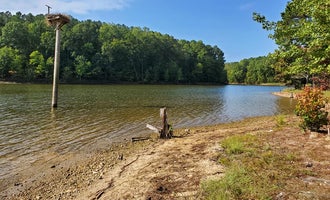 Camping near B.W. Wells — Falls Lake State Recreation Area: Shinleaf — Falls Lake State Recreation Area, Wake Forest, North Carolina