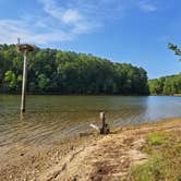 Review photo of Shinleaf — Falls Lake State Recreation Area by Robert R., September 18, 2019