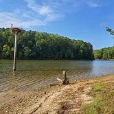 Review photo of Falls Lake State Recreation Area by Robert R., September 18, 2019