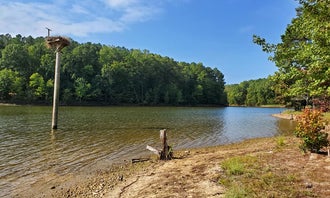 Camping near RTP Lakefront Campsite - Campground: Shinleaf — Falls Lake State Recreation Area, Wake Forest, North Carolina