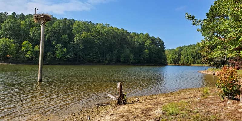 Camper submitted image from Shinleaf — Falls Lake State Recreation Area