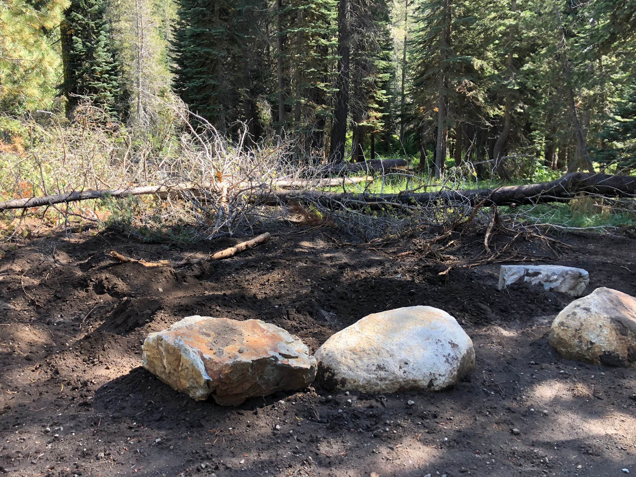Camper-submitted photo at Woodchuck Campground near Olympic Valley, CA