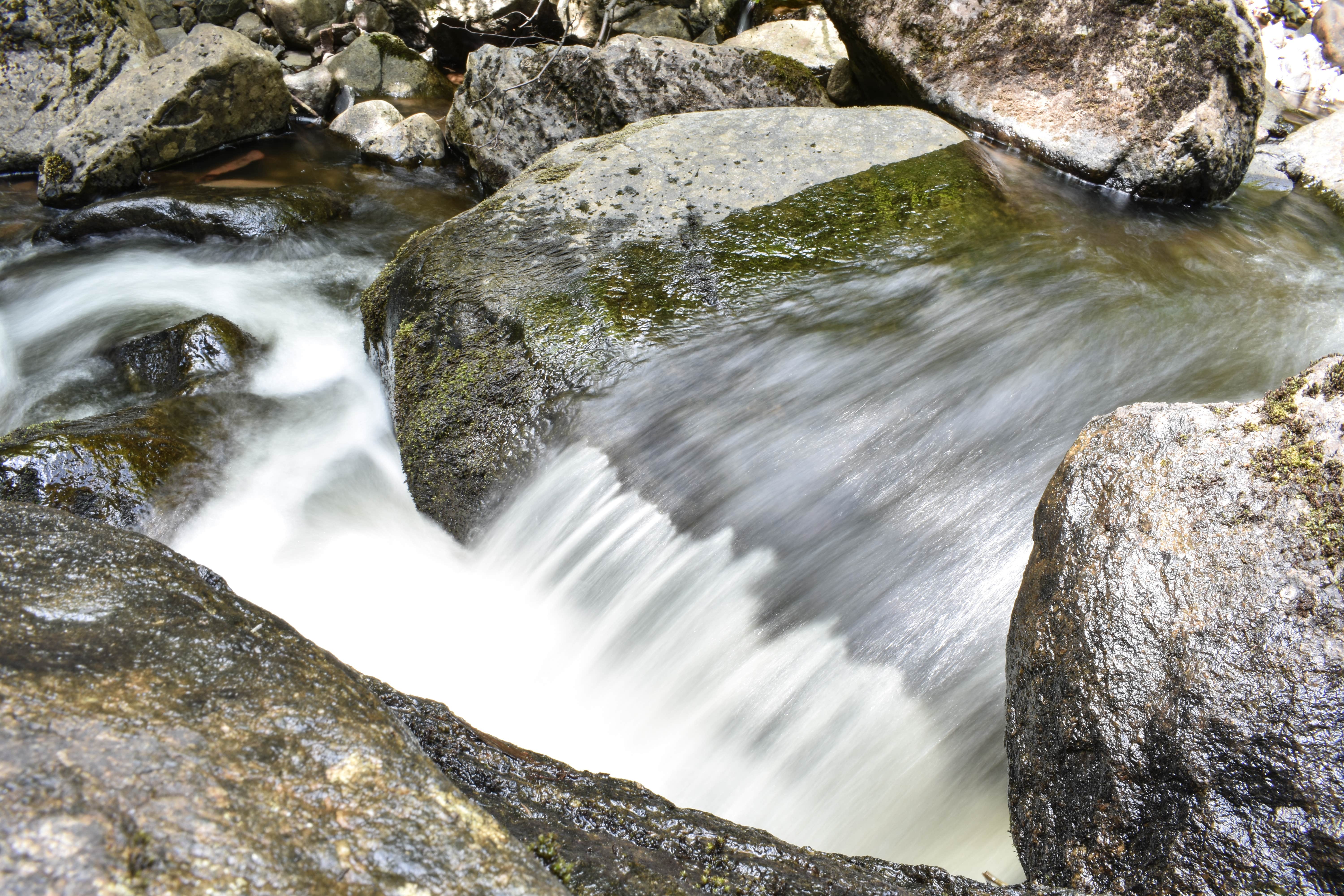 Camper submitted image from Spruce Creek Campsites - 2