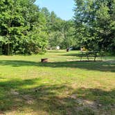 Review photo of Lazy River Family Campground by Jean C., September 18, 2019